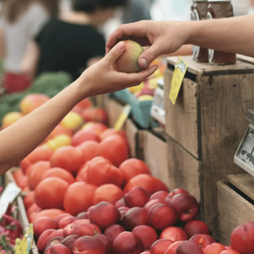 affordable cost - programs and services