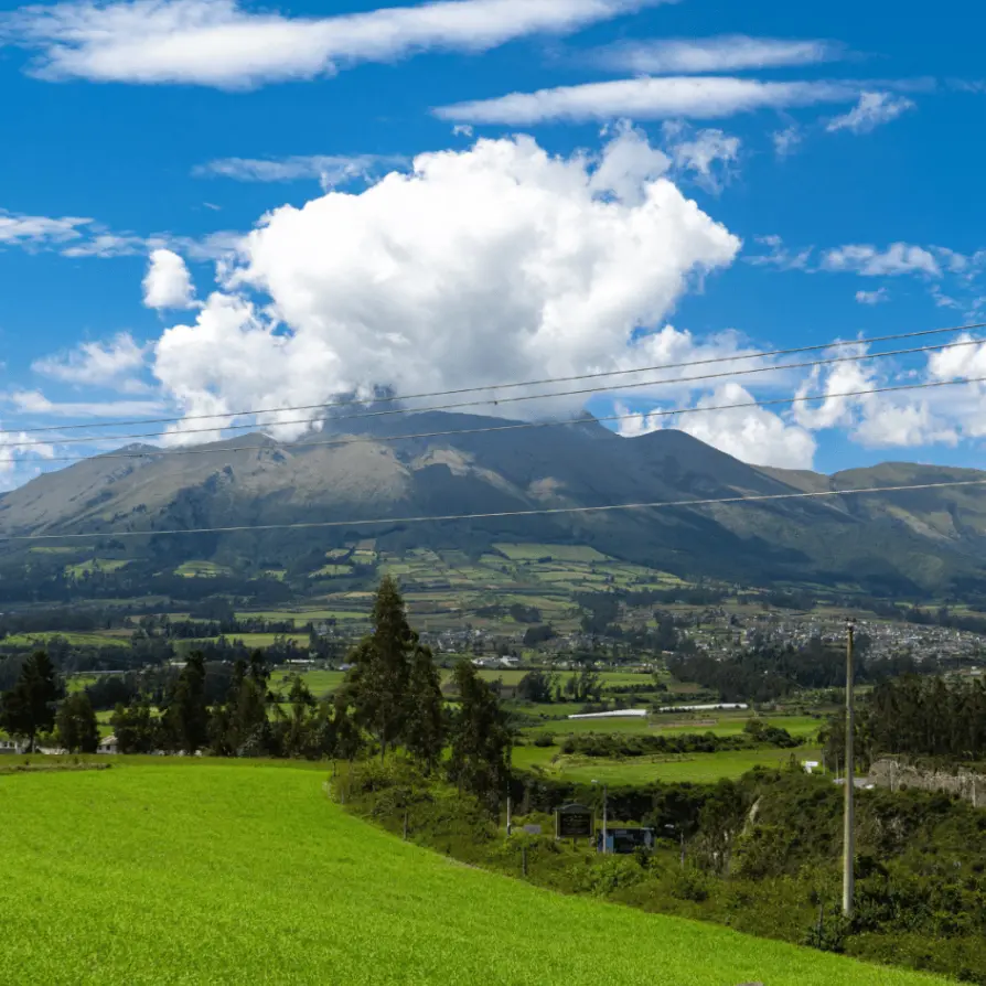 a pleasant climate - programs and services